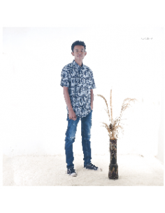 Kemeja Cowok Lengan Pendek John F.Gee